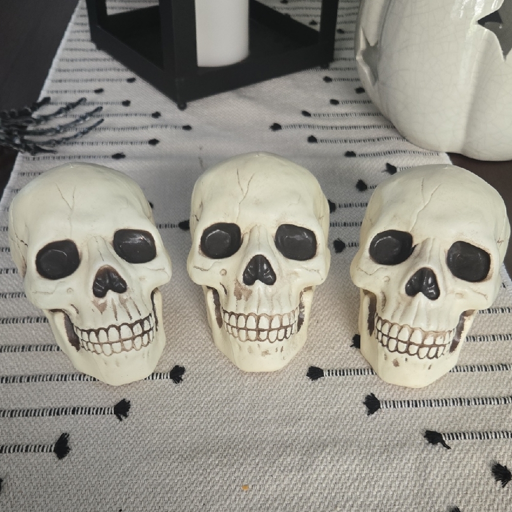 Set of Three Skull Decor Pieces